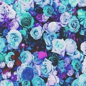 Meet your Posher, Kamryn